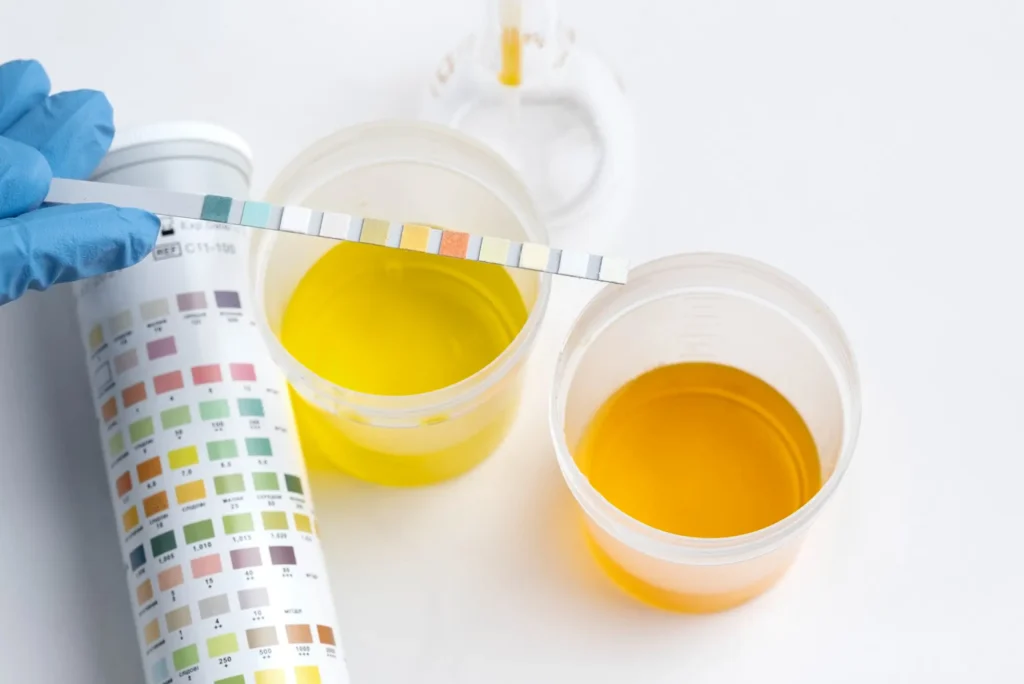 Equipos de Preparación y Análisis de Muestras en Venezuela, Indtek, Equipos y maquinarias para laboratorios, industria farmaceutica, laboratorios farmaceuticos, equipos farmaceuticos, equipos de la industria farmaceutica, equipos en la industria farmaceutica, maquinaria farmaceutica, equipos industria farmaceutica, equipo farmaceutico, maquinaria industria farmaceutica, laboratorios farmaceuticos en Venezuela, farmacéuticos y laboratorios, industria laboratorio, laboratorios farmaceuticos en panama, productos de la industria farmaceutica, industria farmacéutica productos, industrias farmaceuticas en panama, Industria alimentaria, Industria alimenticia, Tabletadora, Tabletlas, Encapsuladora, Capsulas, Blisteadora, Blíster, Mezclador V, Mezclador biconico, Granulador, Gránulos, Tamizador, Tamiz, Tanque acero inoxidable, Tanque proceso, Tanque produccion, Reactor, Biorreactor, Manguera sanitaria, Agitador, Incubadoras, Medidor de pH, Medidor conductividad, Medidor oxígeno disuelto, Medidor iones, Balanza, Cabinas y campanas de bioseguridad, Anatomía patológica, Espectrómetro, Medidor de turbidez, Electroforesis, Sistema de purificación de agua, Pipetas, Agitadores, Termocicladores PCR, Baños de agua, Enfriador de recirculación, Rotavapores, Limpiador ultrasonico, Analizadores, Lavadora de microplacas, Centrifugas, Refrigeradores y congeladores, Fabricador de hielo, Estufas, Fuente de alimentación, Liofilizadores, Digestor de microondas, Muflas, Tanques de nitrógeno, Grinder, Granulador, Mezclador, Tamizador, Encapsuladora, Tabletadora, Linea de gomitas, Linea de capsulas de gelatina, Deteccion de metales, Pulidora, Detección defectos, Encartonadora , Tapadora, Envasado de capsulas y tabletas, Blisteadora, Llenadora de líquidos y cremas, Empacado de polvos y gránulos, Selladora tubos, Sellado en banda, Tunel empacado retractil, Impresora codigos, Transporte de material, Reciclaje de material, Bomba Peristáltica, Bomba Centrífugas, Bomba Lobular, Bomba Doble diafragma, Bomba para bidones 200 L, Bomba centrifuga sanitaria, Bomba sanitaria, Mineria, Dosificacion, mina, bebidas, cerveza, cerveceria, lacteos, industria Lactea, Cervezeria artesanal, Detector de Metales